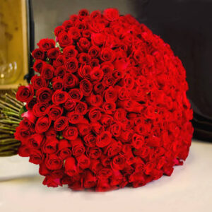 500 red roses