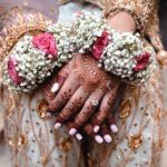 Pink Roses And Gipso Imported Gajray