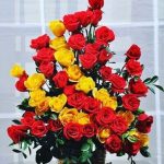 36 Red And Yellow  Rose Basket