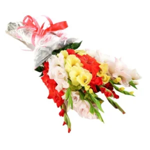 Send 12 Mix Glad Bouquet