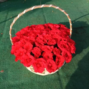 Send 2 Dozen Red Roses In Basket