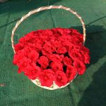 2 Dozen Red Roses In Basket