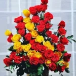Send 36 Red And Yellow Rose Basket