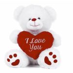 Teddy bear Gift
