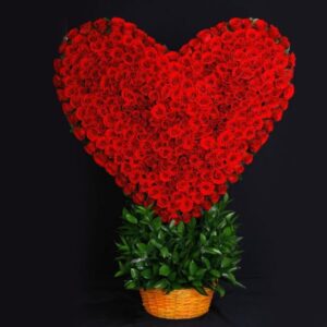 150 Red Roses Arrangment Heart Shape 