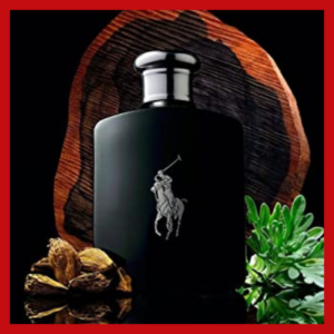 Polo Black By Ralph Lauren