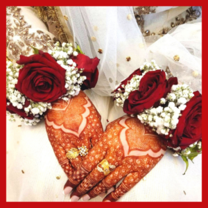 Imported Red Roses Gajray