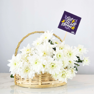 Get well soon daisy basket