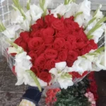 Send 1 Dozen Gladious With Roses