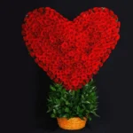 Send 150 Red Roses Arrangment Heart Shape150 Red Roses Arrangment Heart Shape
