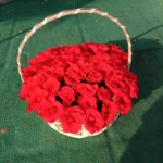 Send 2 Dozen Red Roses In Basket