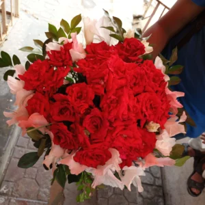 Send 2 Dozen Roses In Gladious Style