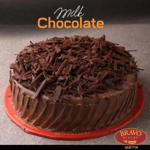 Send 2.5 Chocolate Malt Cake