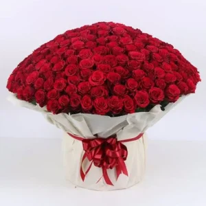 Send 250 Red Roses