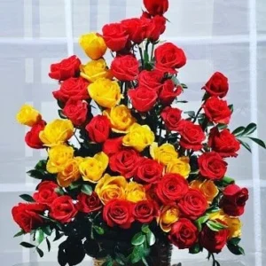 Send 36 Red And Yellow Rose Basket