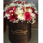 Send Black Box Of Daisy