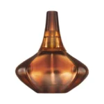 Send Calvin Klein Secret Obsession Eau De Parfum, Fragrance For Women, 100ml