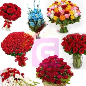 Send Full Rose In Room