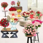 Send Imported Rome Full Packege