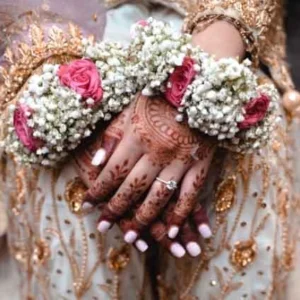 Send Pink Roses And Gipso Imported Gajray