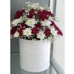 Send Red And White Daisy Box