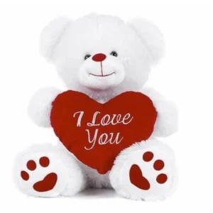 Send Teddy bear Gift