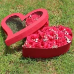 36 red roses in heart shape box – Giftinday